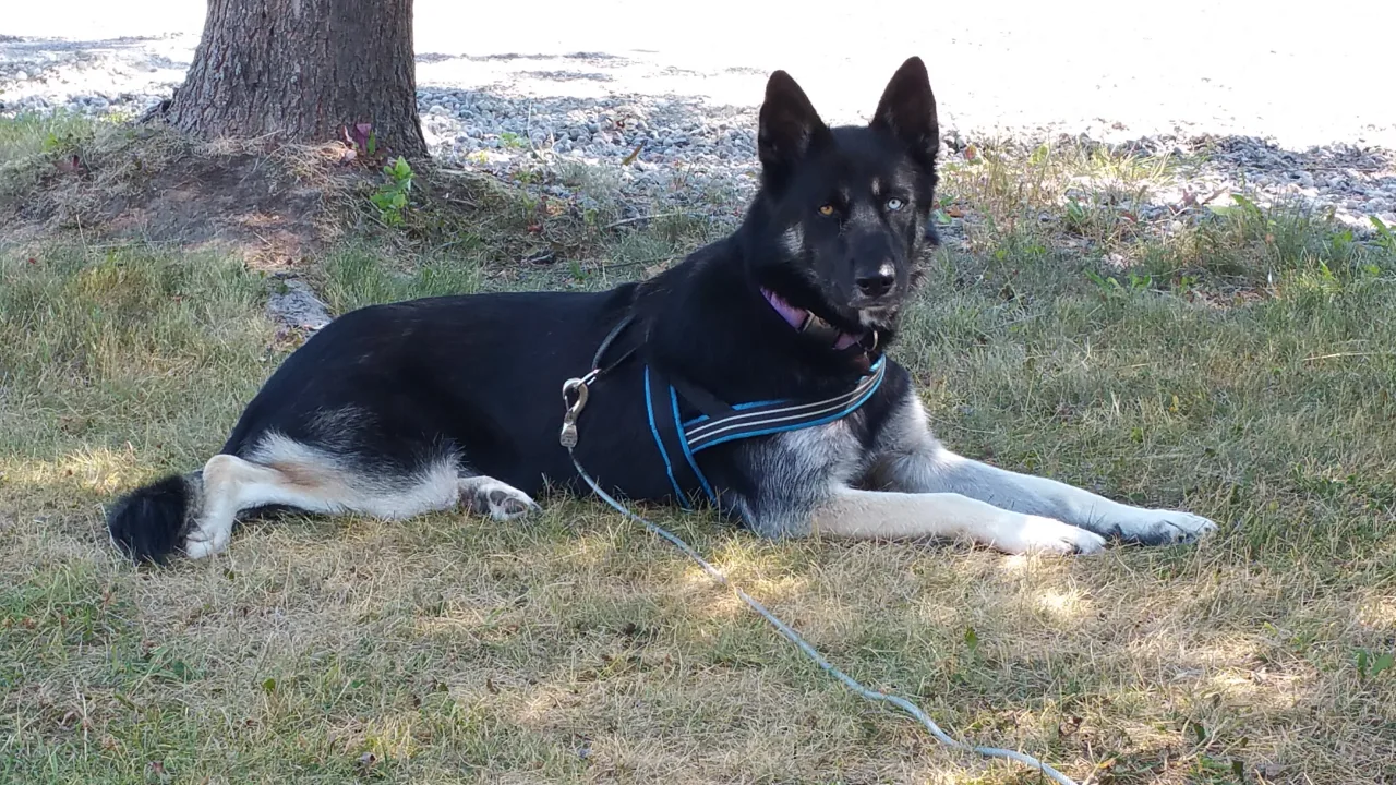 Photo of Jazmine